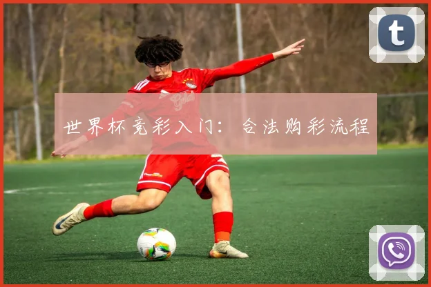 世界杯竞彩入门：合法购彩流程