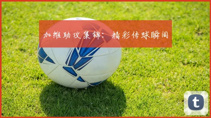加维助攻集锦：精彩传球瞬间
